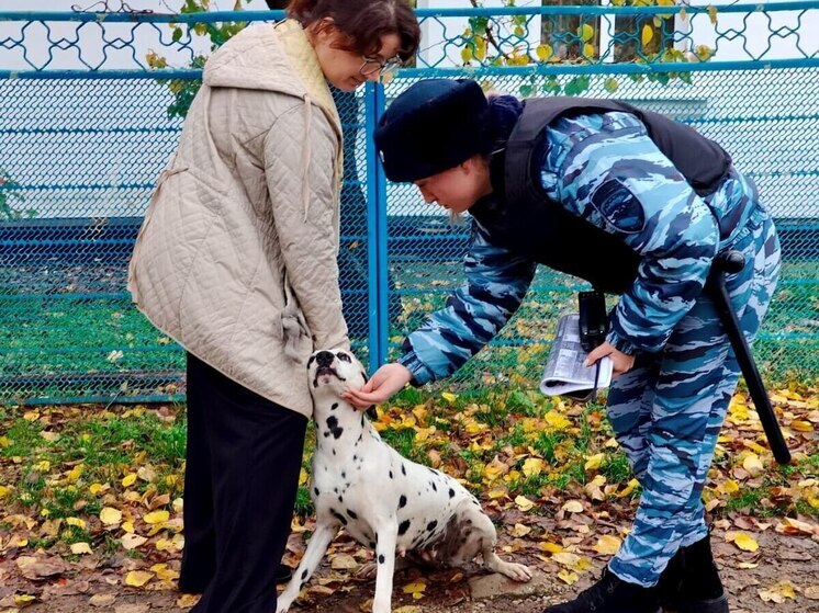 Абинские полицейские вернули хозяйке потерявшегося далматинца
