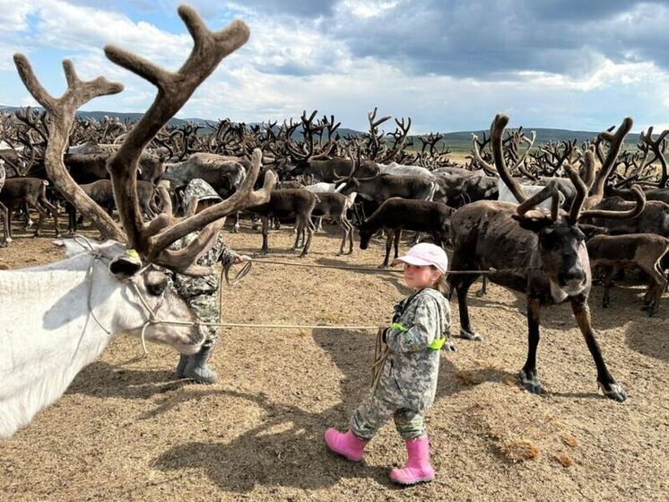 Сегодня оленеводы Тополиного сталкиваются с множеством задач, которые требуют напряженного труда и преданности традициям