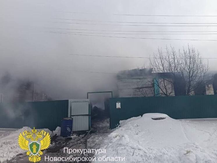 В Новосибирской области детская шалость с огнем унесла три жизни