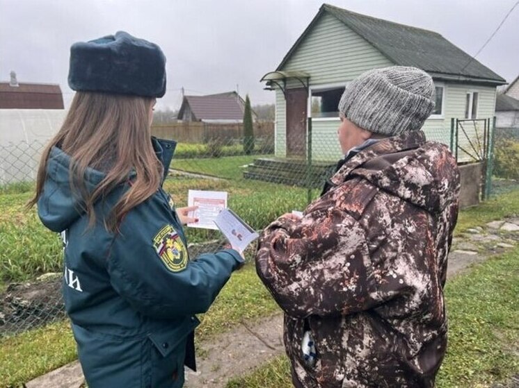 В Кингисеппском районе сотрудники МЧС провели профилактические мероприятия