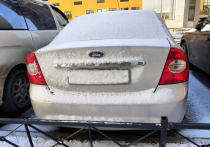 С первым снегопадом для водителей стала актуальной еще одна фобия: по новым законодательным нормам за нечитаемые номерные знаки могут и лишить прав на срок до полутора лет