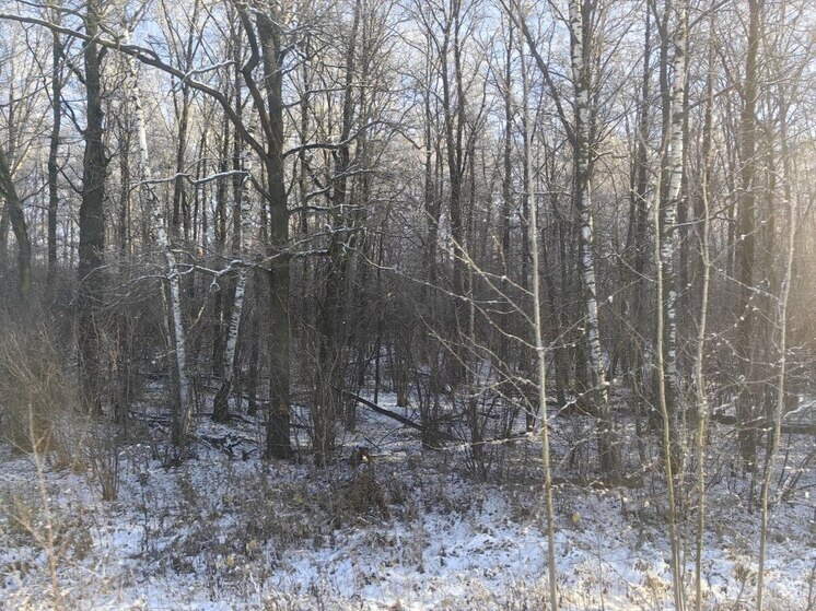 Серпухов накроет ледяной дождь: что ждет жителей округа на следующей неделе