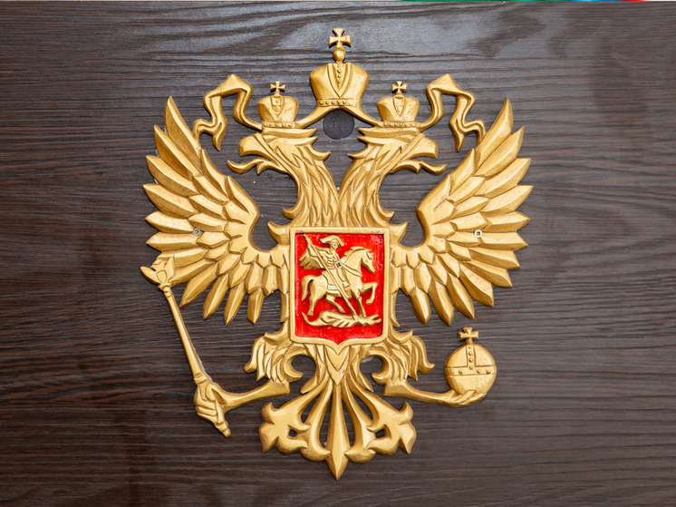 Глава СКР Бастрыкин взял на контроль дело о травме подростка в Петрозаводске