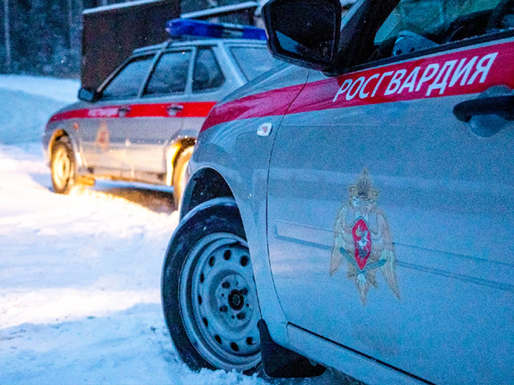 Росгвардия пресекла попытки краж в мурманском гипермаркете