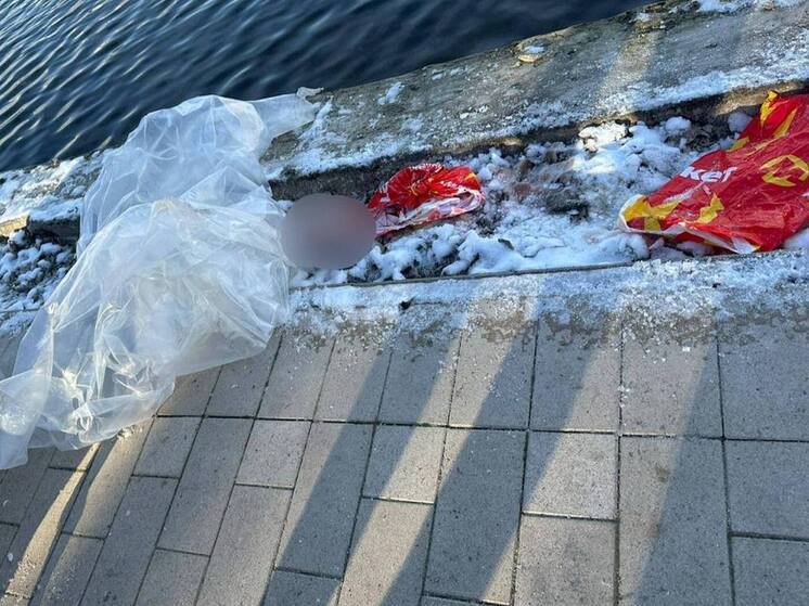 В найденном в Гольяновском пруду пакете находилась голова ребенка