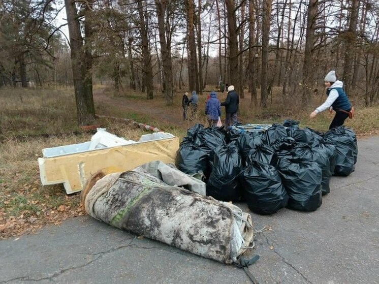 Курские активисты собрали 50 мешков мусора