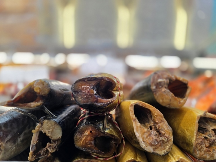 Краснодарский край вошёл в топ-3 регионов, популярных этой осенью у рыбаков