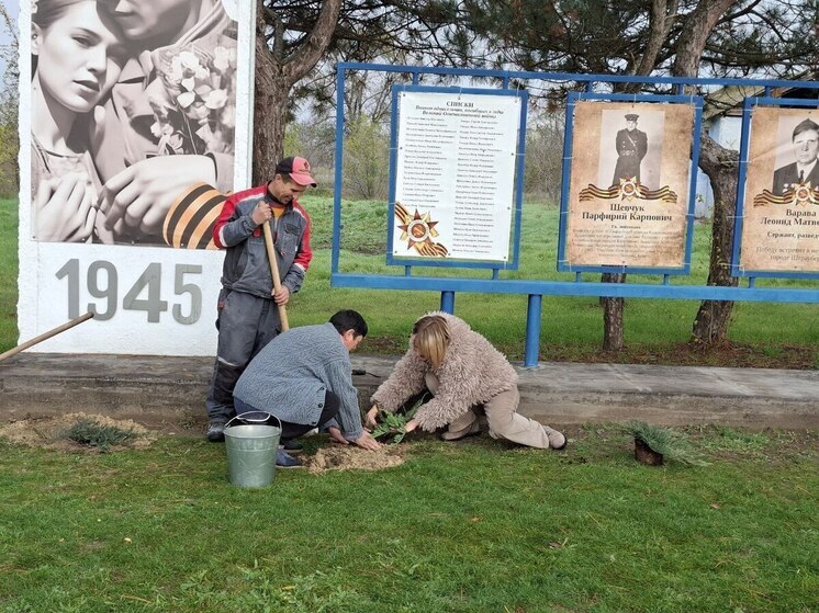 В Херсонской области высадили можжевельник у Аллеи Славы
