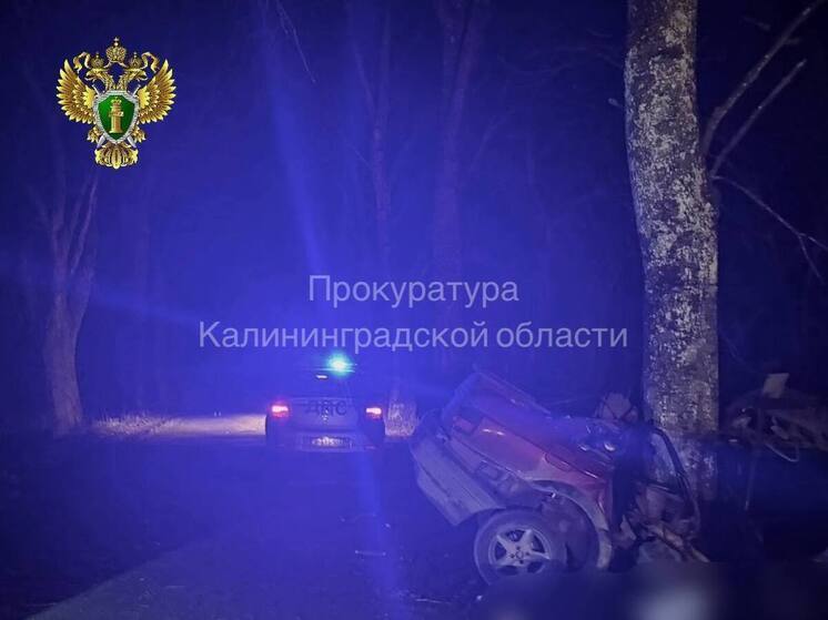 Гусевская прокуратура взяла на контроль дело о гибели двух человек в ДТП