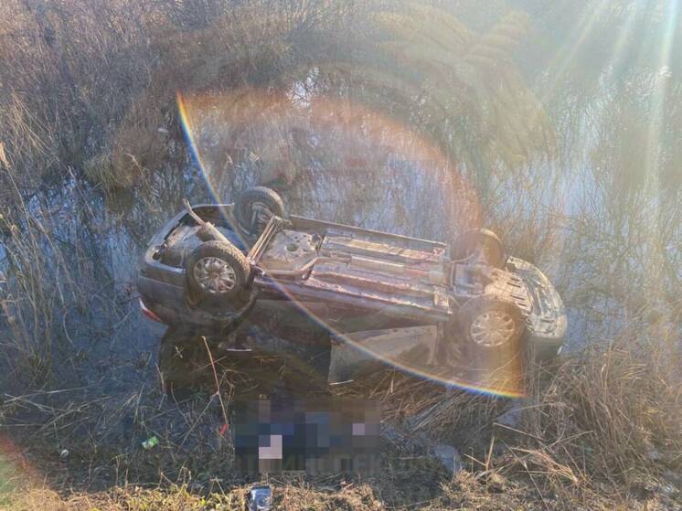В Татарстане водитель иномарки погиб после опрокидывания в кювет