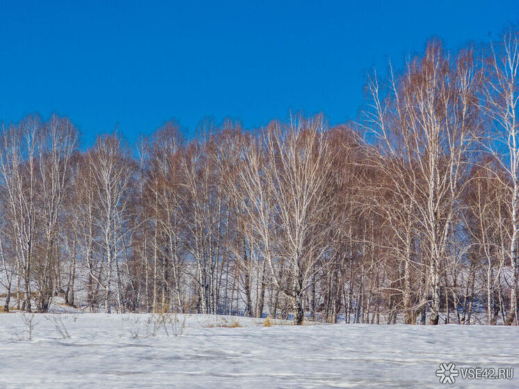 В понедельник, 17 ноября,  погода удивит Кузбасс резкими скачками температуры