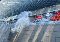 Выяснились некоторые подробности об обнаружении рюкзака с головой школьника, который вытащили 16 ноября из Гольяновского пруда