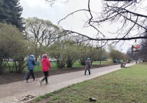 Современная наука, как российская, так и международная, активно поддерживает пенсионеров в их стремлении «не стареть по шаблону». Екатерина Жильцова, технолог-консультант «ВИВО Маркет», нутрициолог, в беседе с «МК» рассказала, как меняется жизнь «серебряных» петербуржцев, каким должно быть их питание, и разработала небольшую памятку.