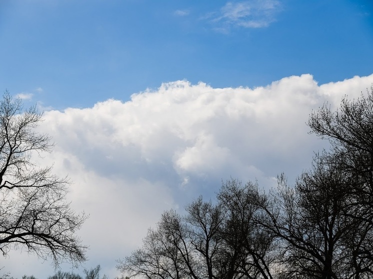 Под Волгоградом из-за ночной атаки БПЛА повреждения получили два частных дома