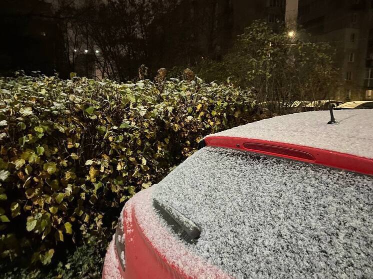 Заморозки и мокрый снег ожидаются в Рязанской области 17 ноября