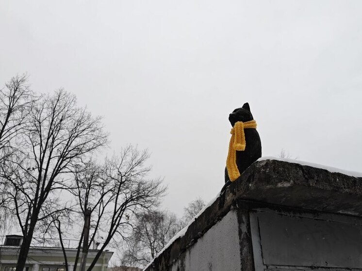 В Ленобласти 17 ноября ожидается мокрый снег, гололедица и до +2 градусов