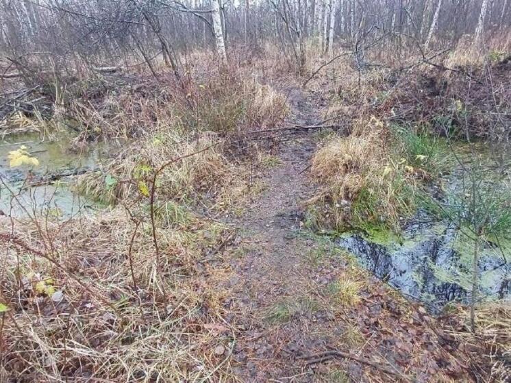 Водолазы рассказали подробности поисков мужчины в Клепиковском районе