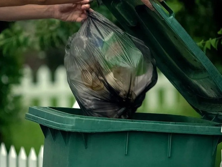 Совет жителям Калмыкии: завтра не выносите мусор