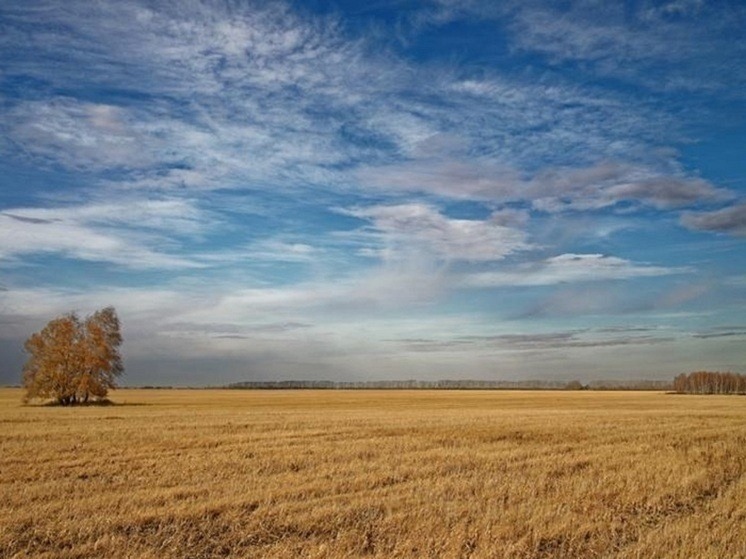 Завтра приметы расскажут о погоде в Калмыкии