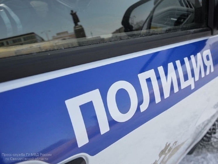 Свердловчанин вынес из магазина продукты на 80 тысяч рублей