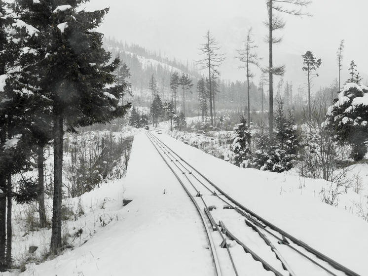 Почти 1,4 млн пассажиров перевезли пригородные поезда в Архангельской области