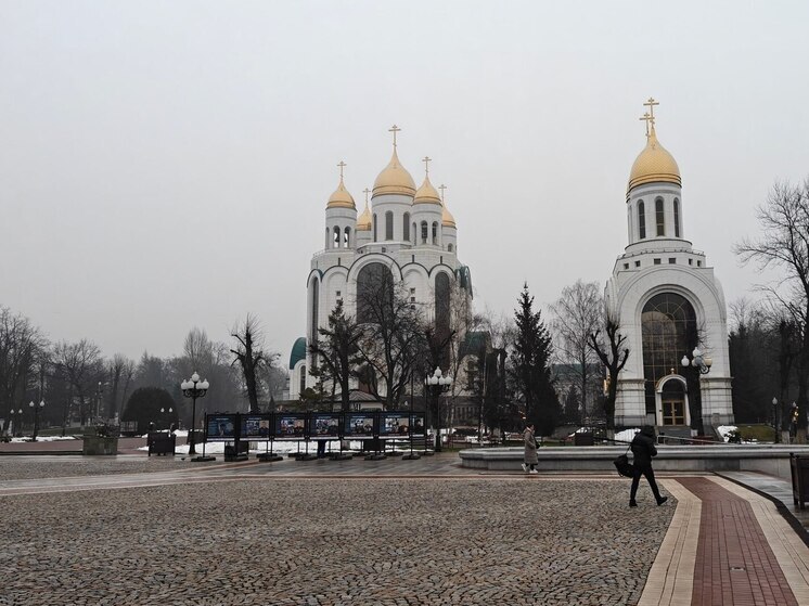 Погода в Калининграде на следующей неделе ожидается прохладной