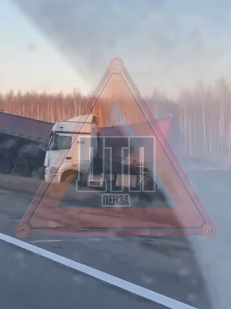 Фура сошла с трассы М-5 в Пензенской области