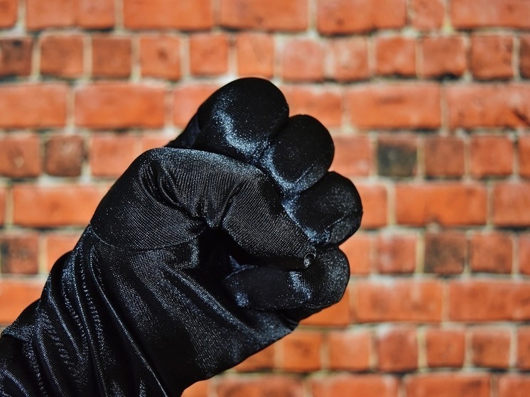 В ЕАО проверяют информацию о нападении школьниц на женщину