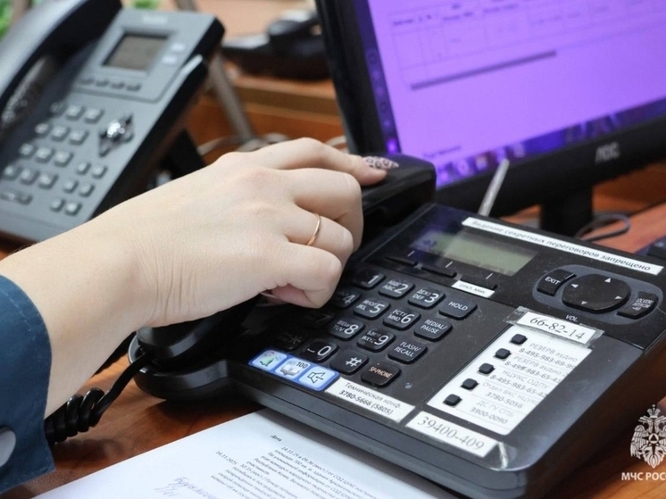 В Новгородской области прошли учения психологов «горячей линии»