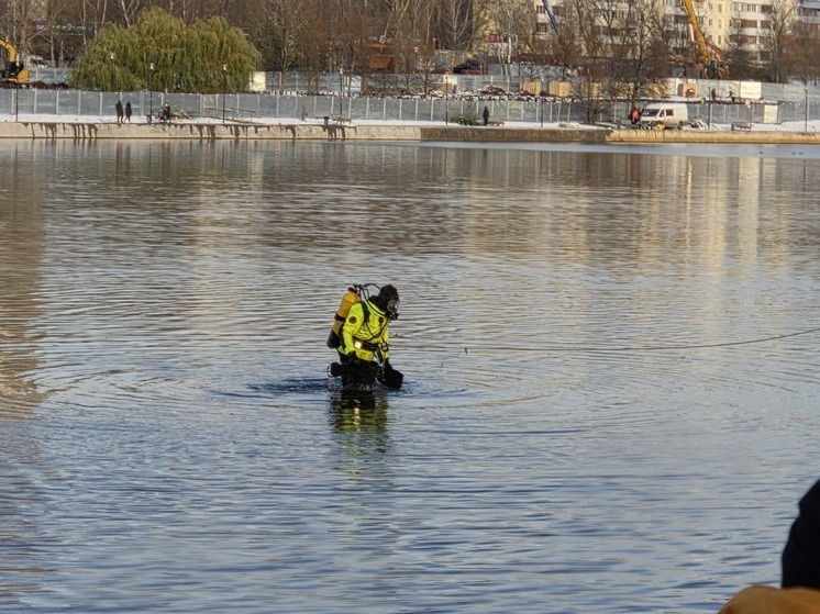 РИА: водолазы закончили исследовать пруд в Москве, где нашли останки ребенка