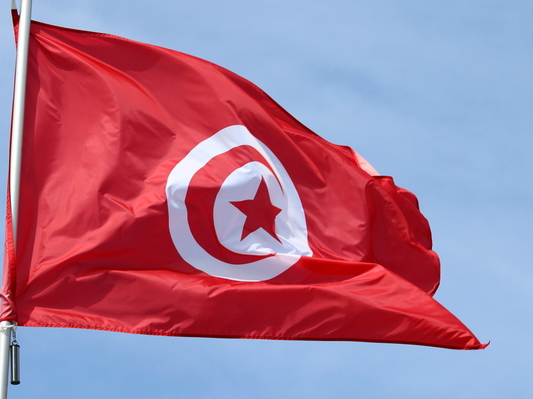 Оппозиционные политики Туниса объявили голодовку, протестуя против президента