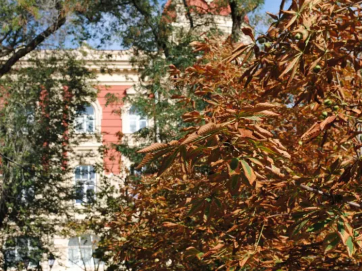 В Ростовской области на новой рабочей неделе потеплеет до +20 градусов