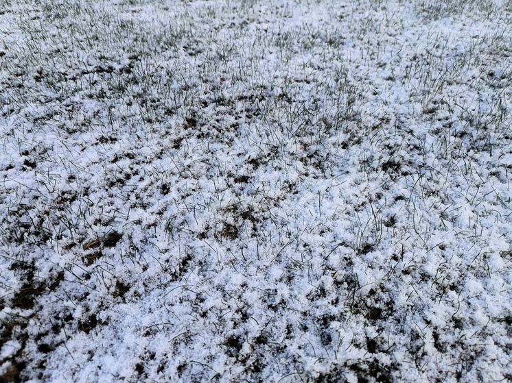 В Москве в понедельник ожидается мокрый снег