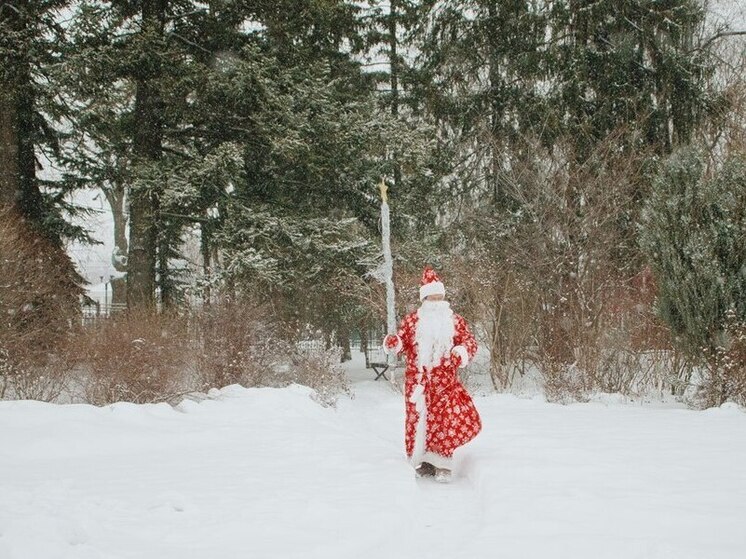 Пенза готовится к шествию Дедов Морозов