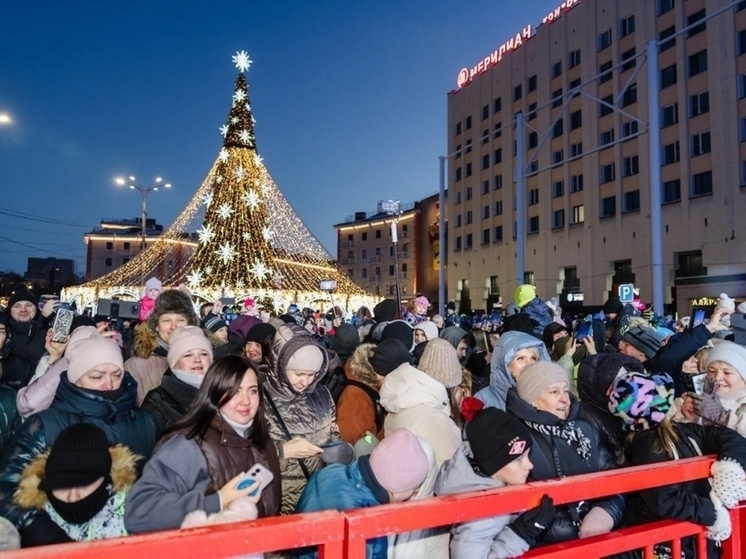 В Мурманске зажгли огни на главной елке области