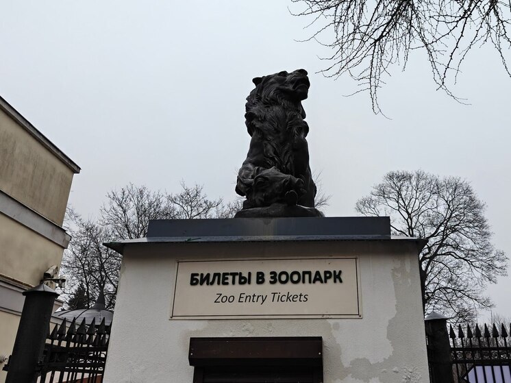 В Калининградском зоопарке произошла встреча японских журавлей