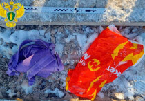 Поисками злоумышленника, который жестоко расправился со школьником и скинул часть его тела в Гольяновский пруд, заняты столичные стражи порядка