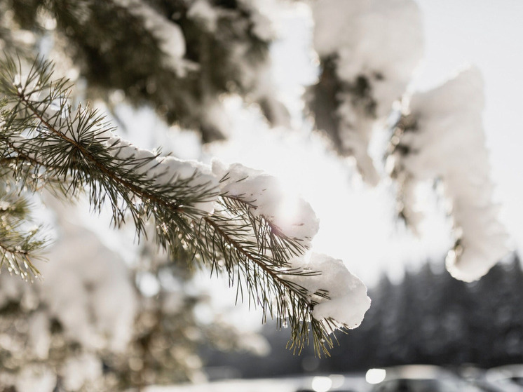 Прогноз погоды на 17 ноября 2025: в Красноярске ожидается потепление и гололедица