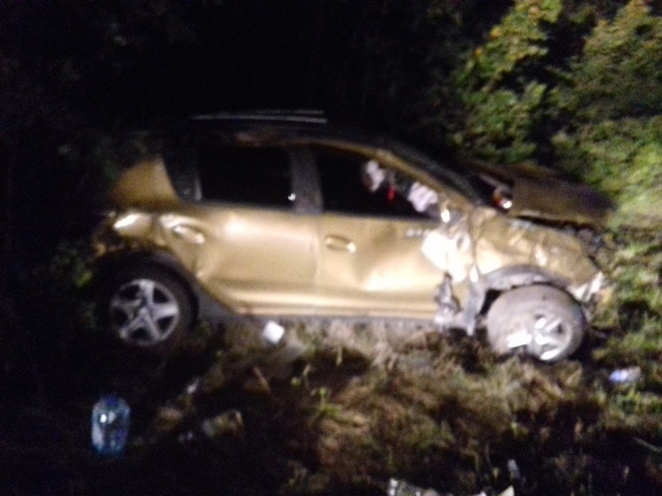 На трассе Р-22 в Грибановском районе автомобиль съехал в кювет