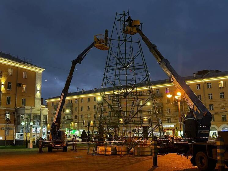К началу мероприятий Новогодней столицы в Рязани установят 40 ёлок