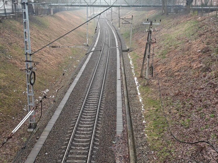 Глава Калининградской железной дороги встретился со студентами Петербурга