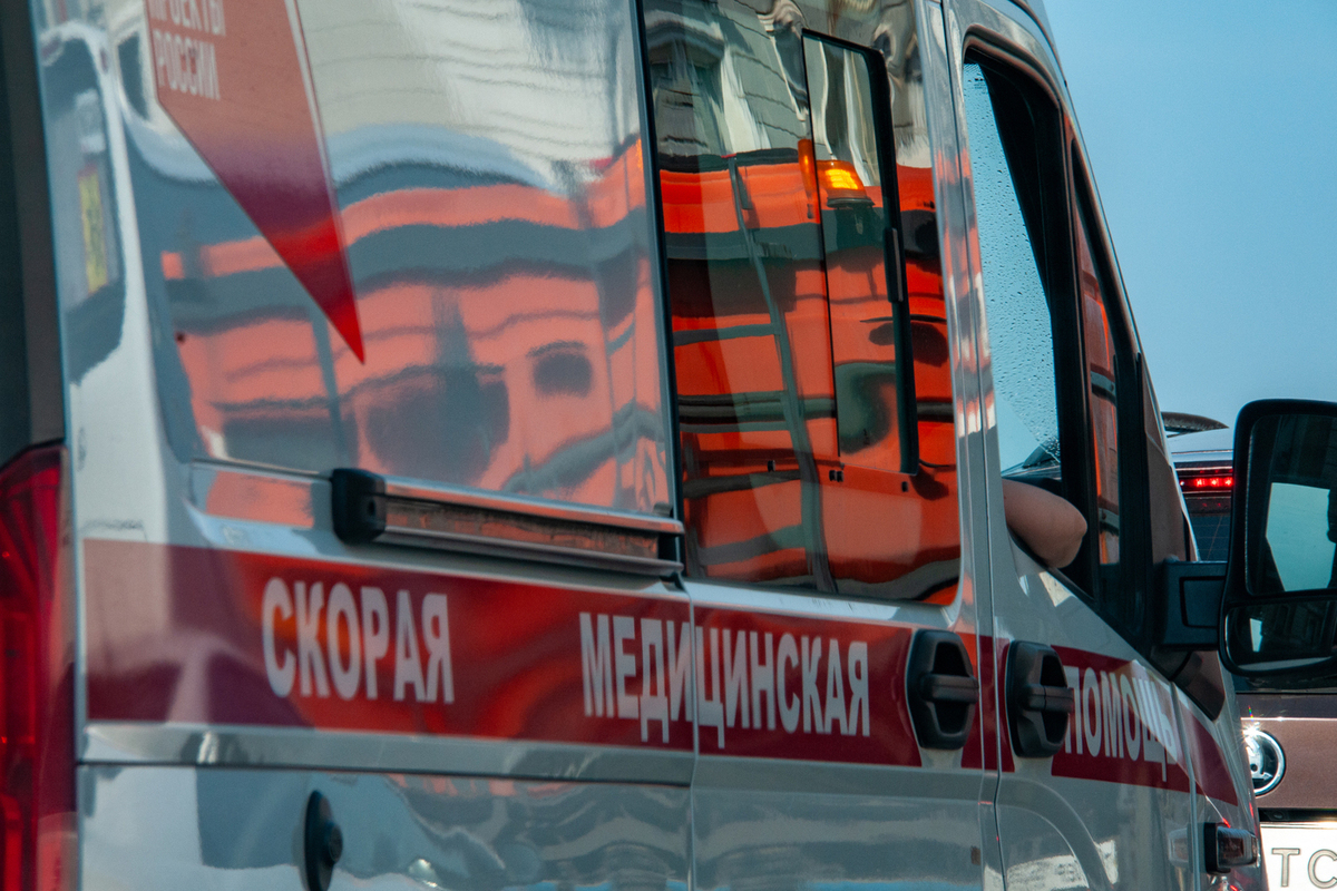 Фото: Svetlana Vozmilova/Global Look Press