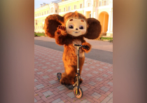 Мы ежедневно чему-то удивляемся