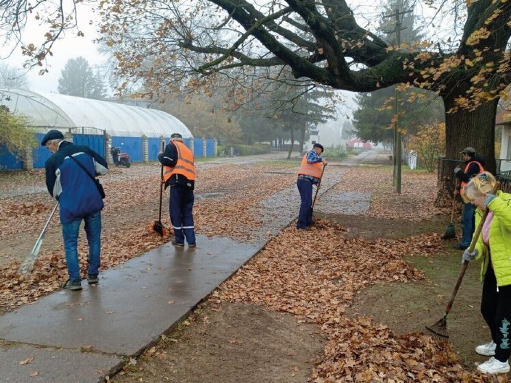 В прифронтовых Алешках коммунальщики занимаются уборкой территорий