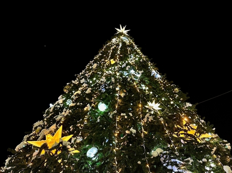 В Мончегорске зажгли огни на главной елке города