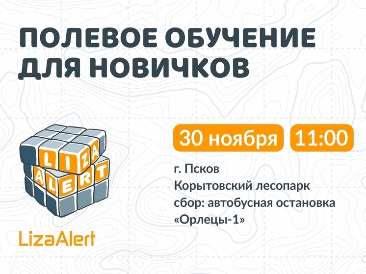 Полевое обучение в Пскове от «ЛизаАлерт»: окунитесь в мир поиска пропавших