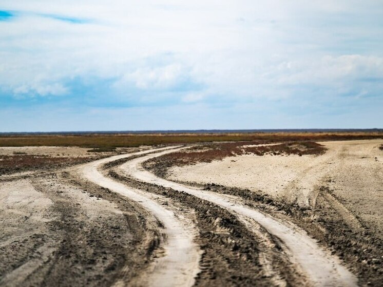 В  Херсонской области 17 ноября ожидается до +16 градусов и без дождя