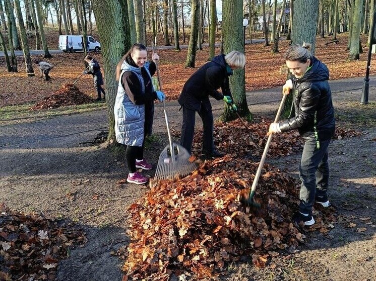 В Ладушкине прошел осенний субботник в городском парке