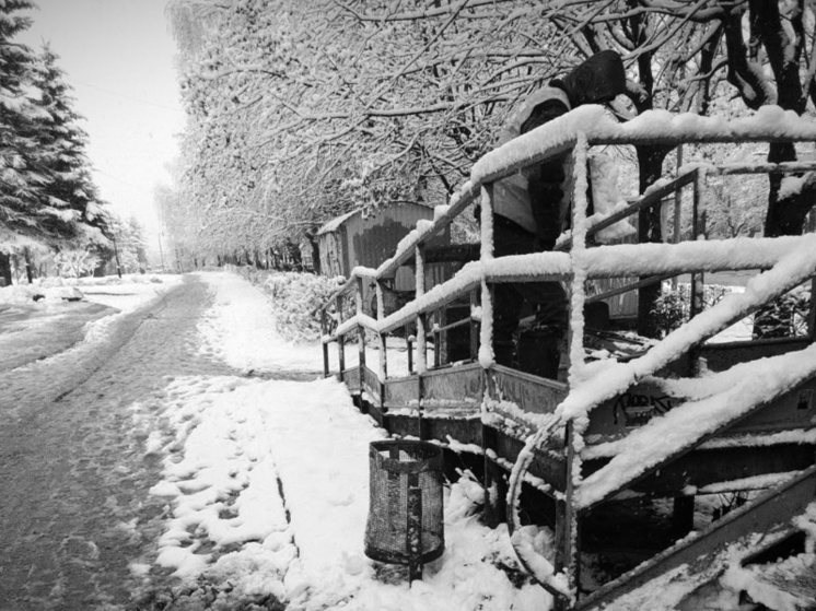 Первый снег стал испытанием для Владимирской области