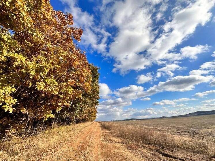 Погода на 17 ноября: В Приморье установилась морозная и ветреная погода